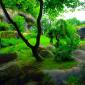 hd-wallpapers-for-windows-8-beautiful-nature-green